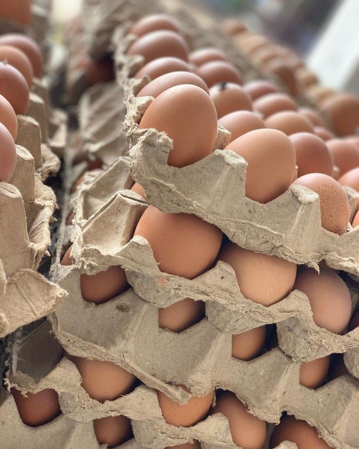 One crate 30 Large Eggs - 58 GHC