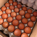 One crate 30 Large Eggs - 58 GHC